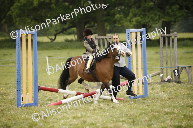 20250517-0130 - Class 1 - 30cm On Lead Rein