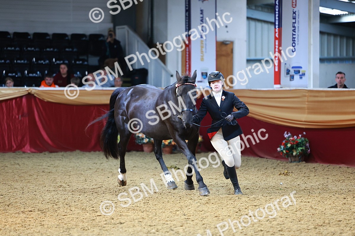 SBM_22308 - Class 902 - Supreme Final - IH Diamond