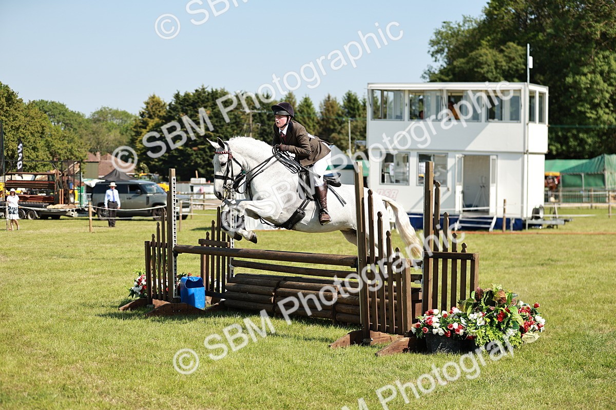 SBM_18849 - Class 114 - RIHS & SEIB Open Working Show Horse