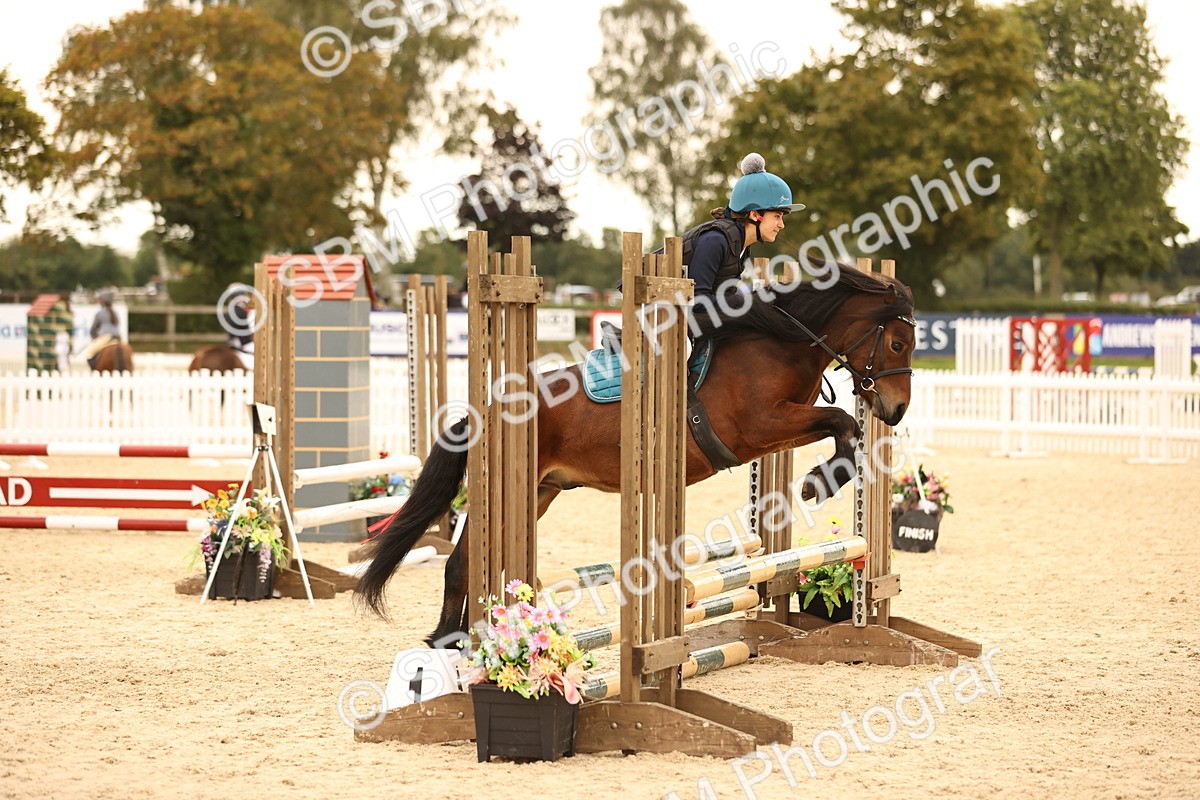 SBM_74192 - J14 - Junior Pony 65cm Championship