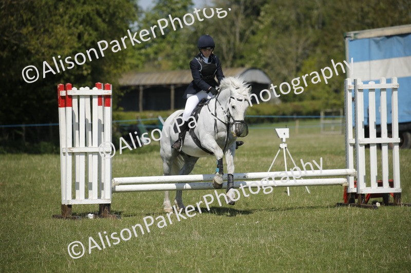 20250427-2180 - Class 13 - Novice Jumping 60cm