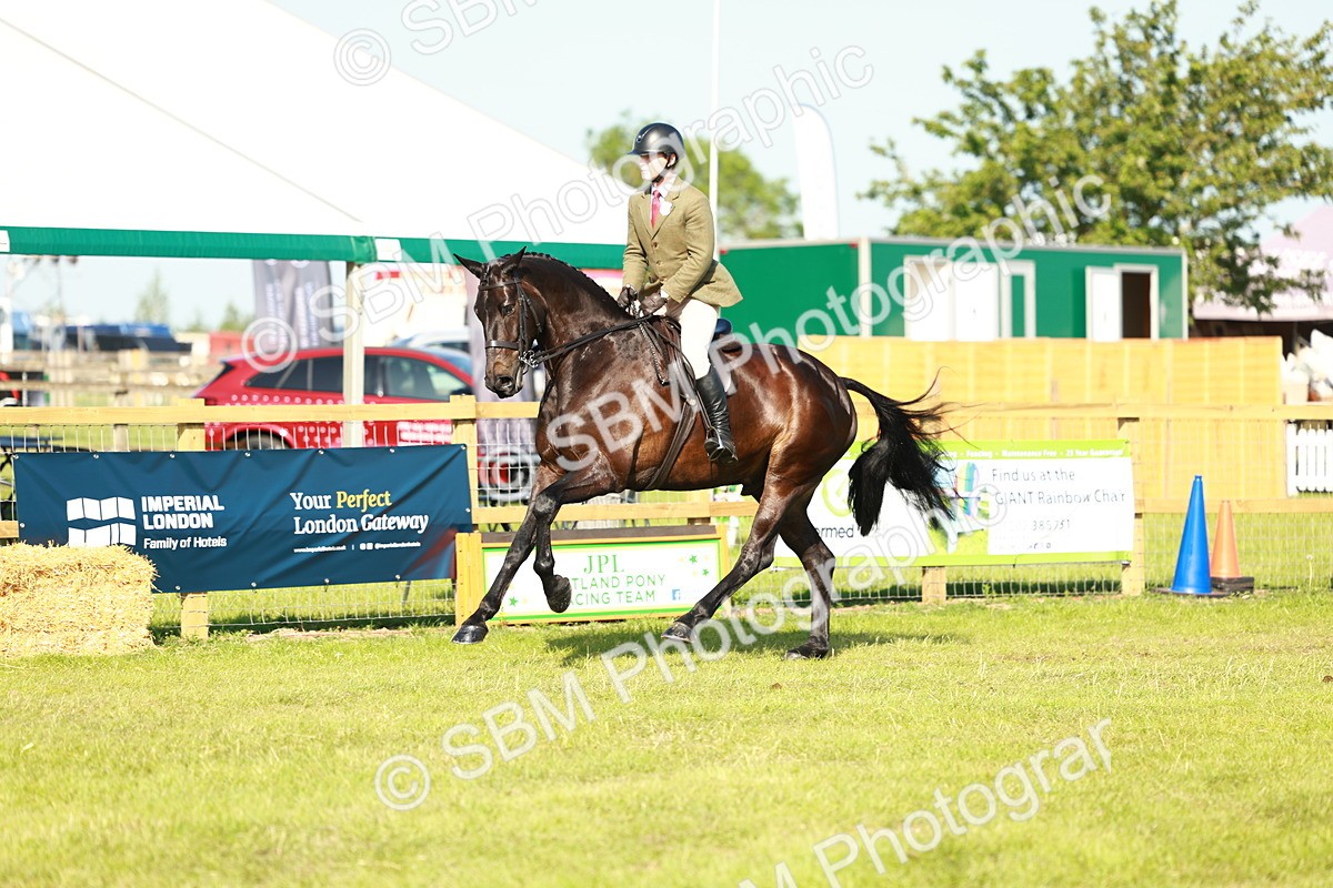 SBM_10932 - Class 66-69 - RIHS Ridden Hunters Inc Small Hunter