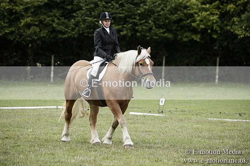 BVR080918 133 - BVRC Novice Dressage & CR 08/09/18