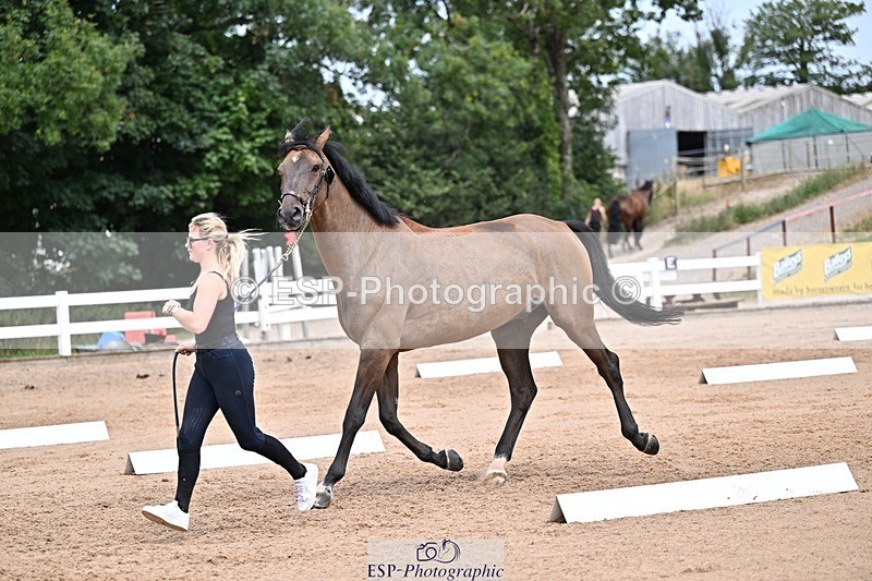 250716-132834-00541 - Trot Up 12.30 to 1.30