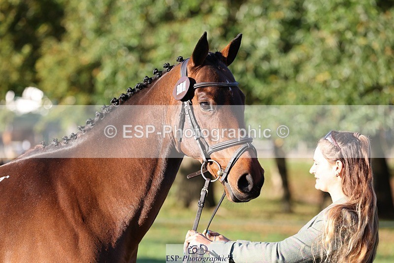 241027-083453-14674 - 412-Holly.Horton-MILTONHILL.MALENKI