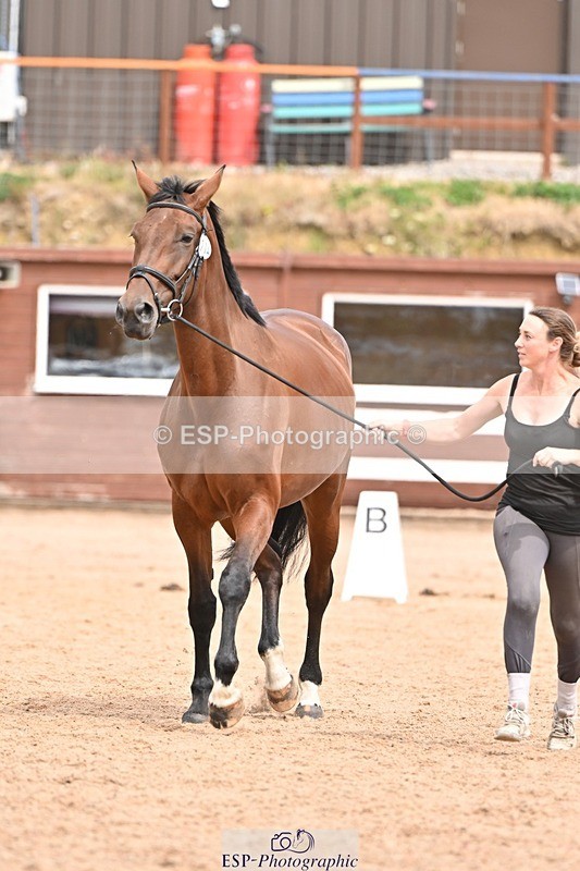 250716-154025-02104 - Trot Up 3.30 to 4.30