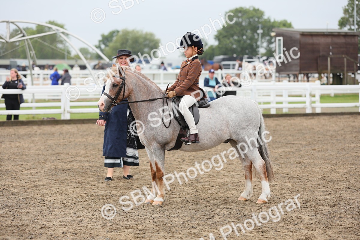 SBM_21798 - Class 806 - Young ridder 10 Yr & Under