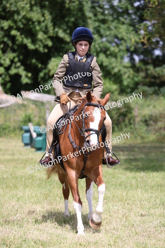 20260614-1952 - Class 21 - Novice Working Hunter Pony