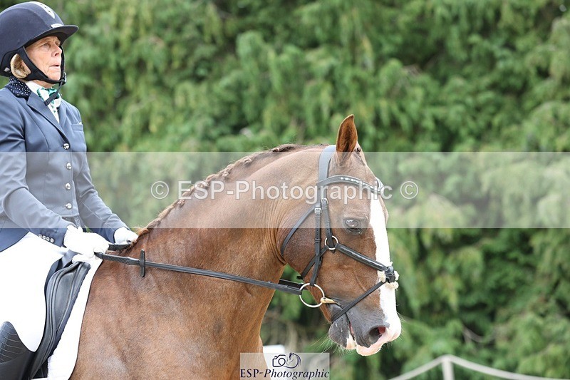 230812-134810-04319 - Cls 5 Novice Bronze 13.40 to 14.45 break