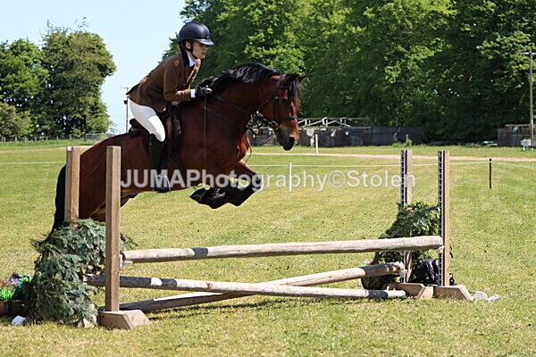 IMG_3720 - Working Hunter