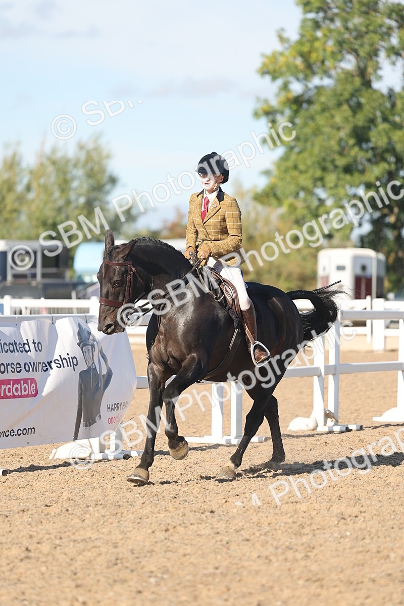SBM_12343 - Class 304 - Ridden part Bred Horse Pony