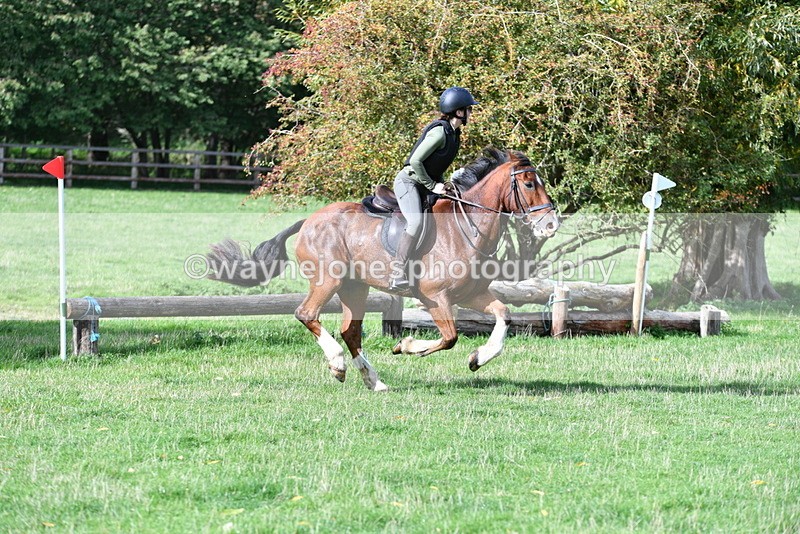 WJ5_7934 - Time 10:31 to 12:01