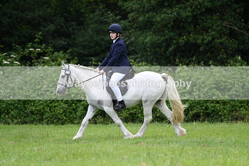WJ7_2611 - Class 12A Coloured Class