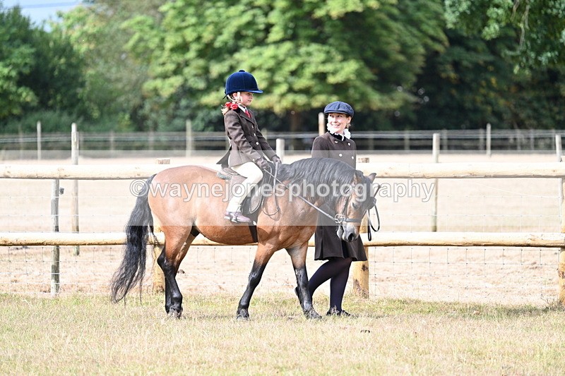 WJ7_6395 - Class 1 Lead Rein Pony