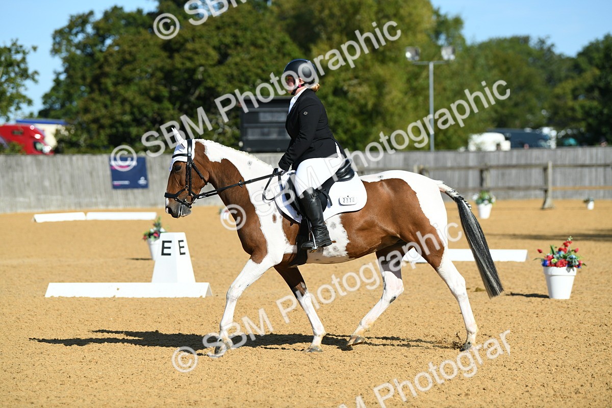SBM_17926 - D4 - Small Tour Championship - Intro B