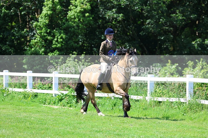 3E7A6740 - Working Hunter Pony Championship