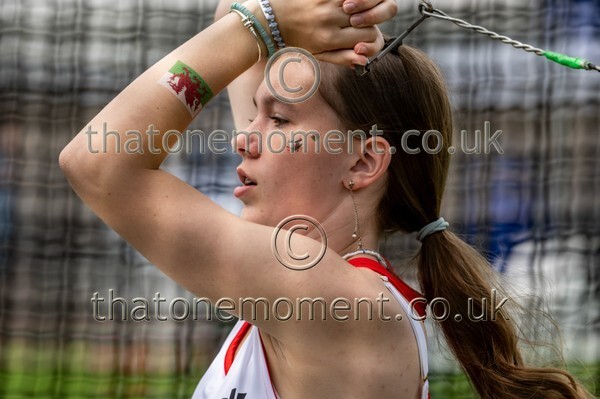 SIAB23-913183 - Field Female Set One