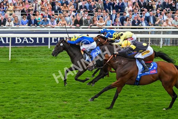 230825-Race 3-Never So Brave-0102 - Race 3 3.00pm Sky Bet City Of York Stakes