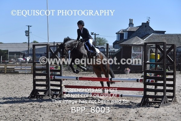BPP_8003 - CLASS 2 Club/ Unaffiliated 80cms Open