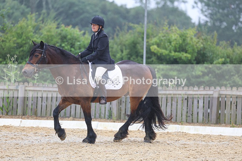 3E7A8470 - Class 2: Intro 3 2024 section B