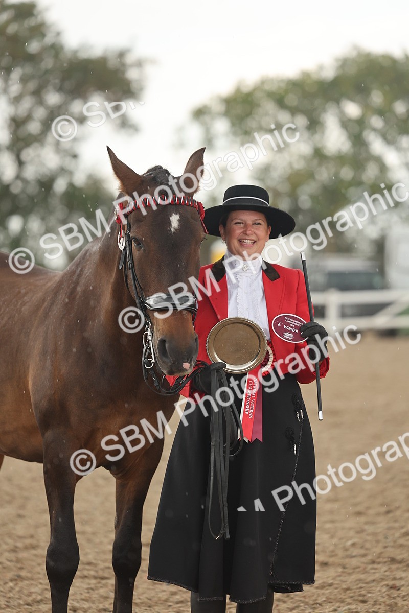 SBM_07713 - Class 26 - IH Foreign Breeds - Part Bred