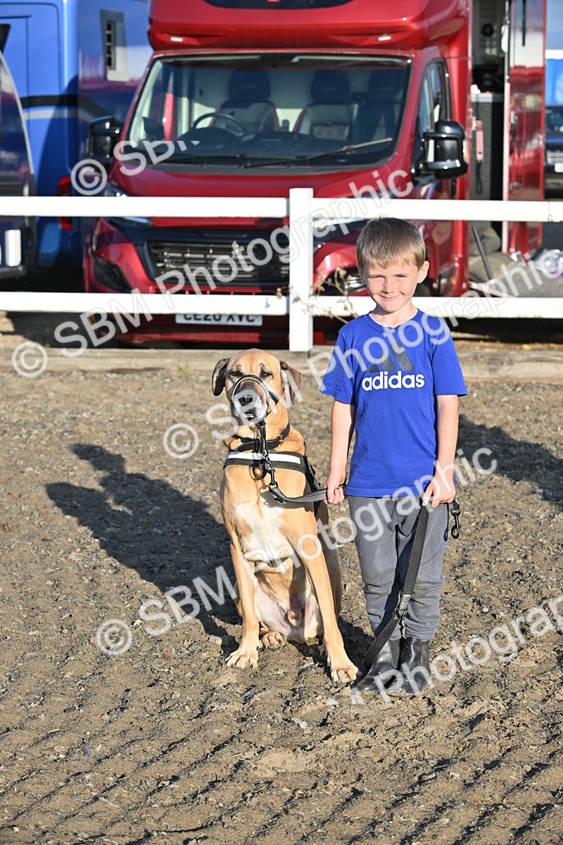 SBM_09366 - Lorry Dogs