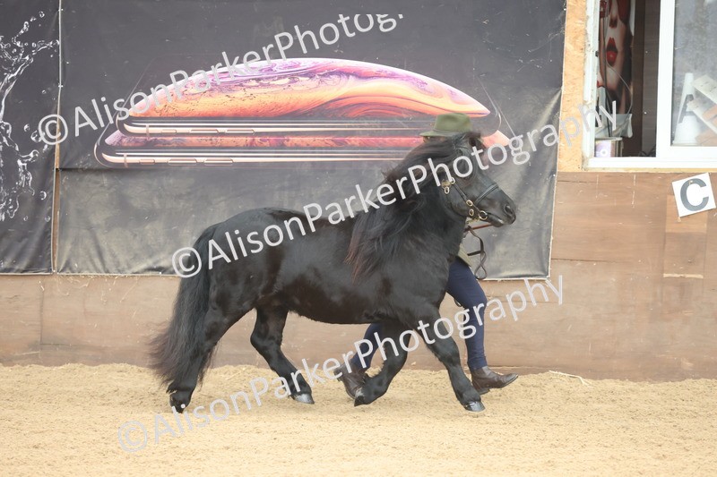 20251109-0027 - Class 3 - 2 and 3 Year Old