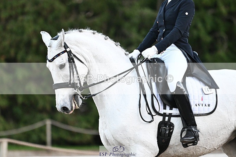 231110-162514-02600 - Cls 14 FEI Grand Prix