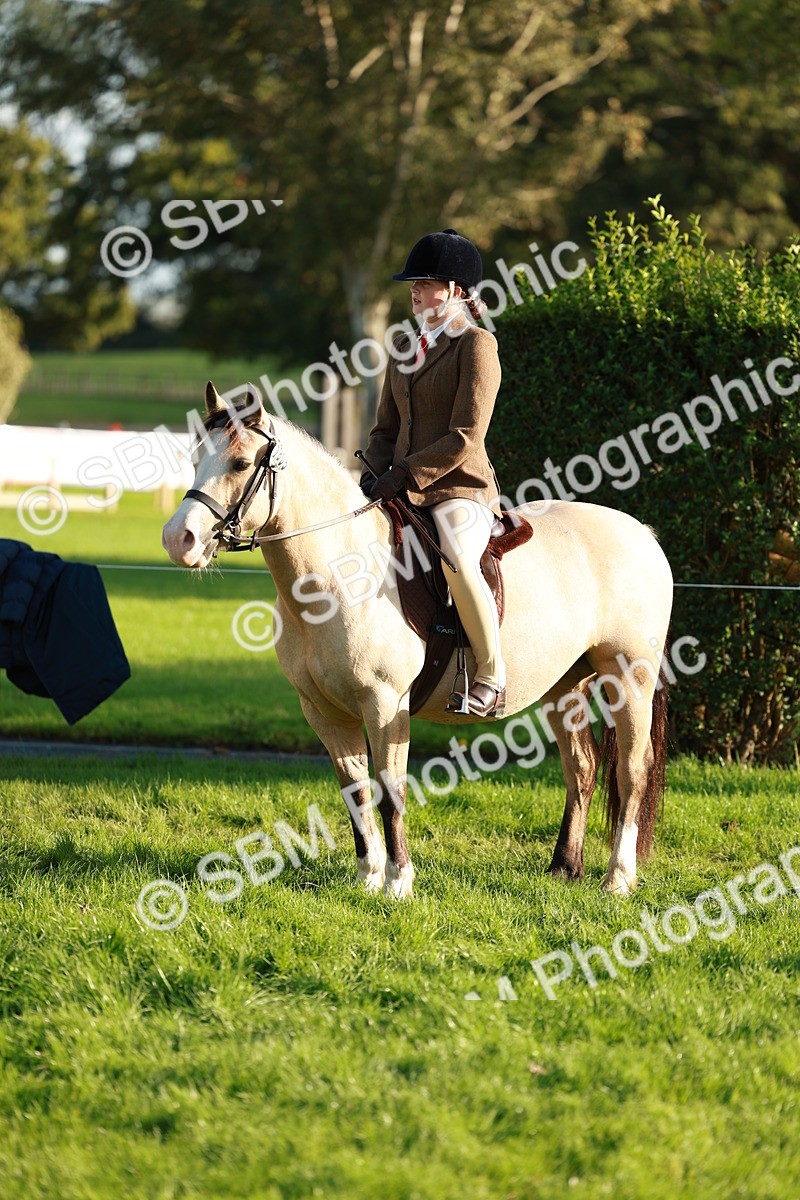 SBM_28771 - S7 - Novice & Newcomer Ridden Pony
