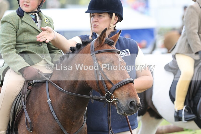JPP_1905 - Class 18: Tiny Tots Working Hunter Pony