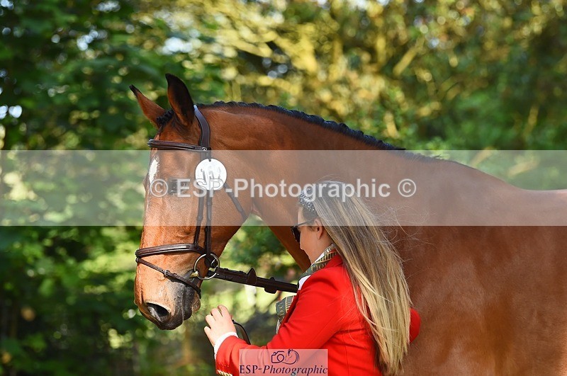 230524-170420-01274 - 152-RENKUM_JITTERBUG-Phoebe_Locke-WEDTrotUp+DR