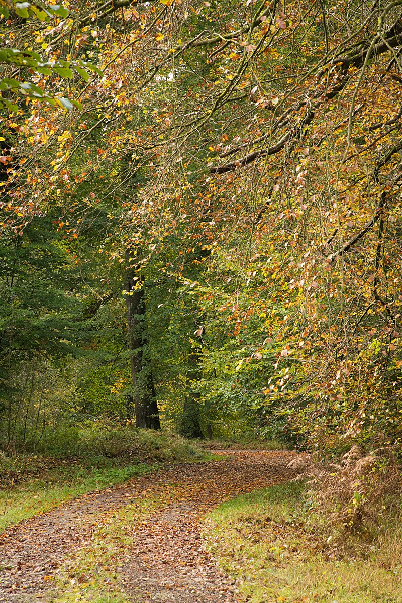  - Autumn