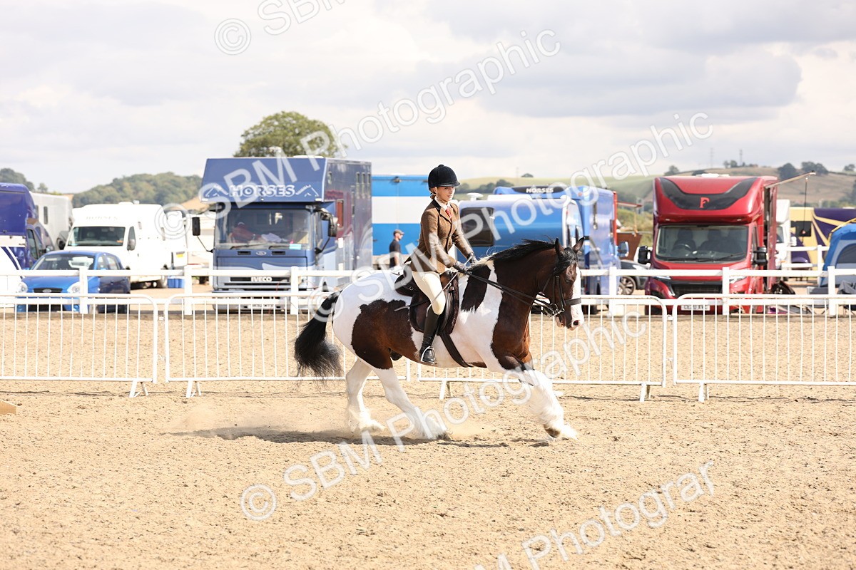 SBM_07328 - Class 58b -  Style & Performance - 70cm (20+)