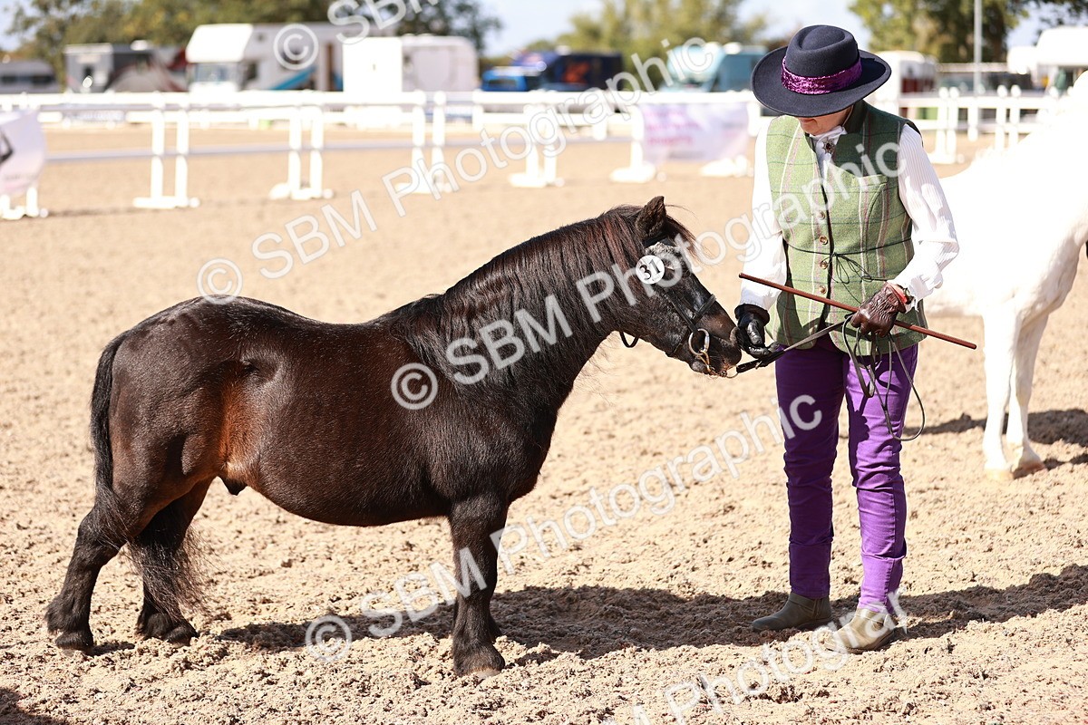 SBM_22819 - Class 705 - IH Combination 65+