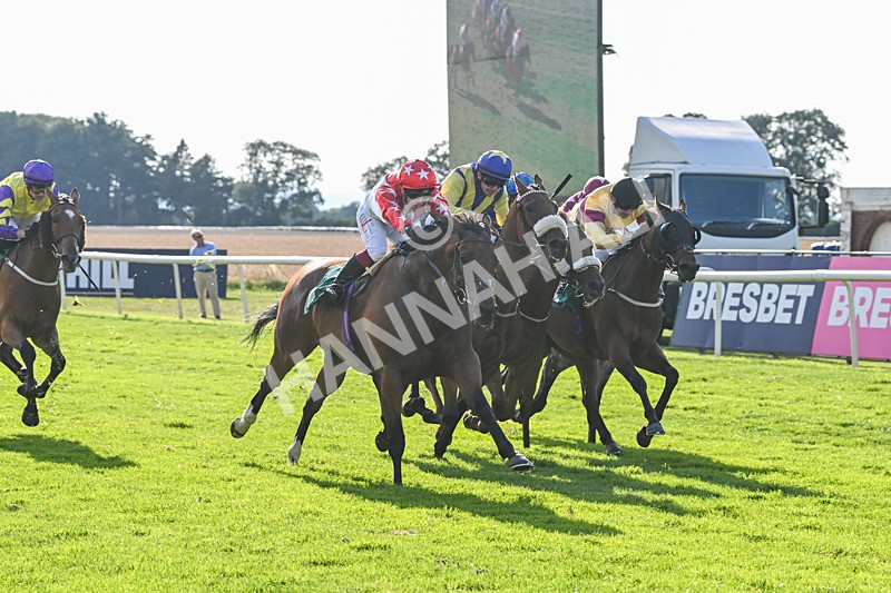 020825-Race 8-Dandy Dinmont-3901 - Race 8