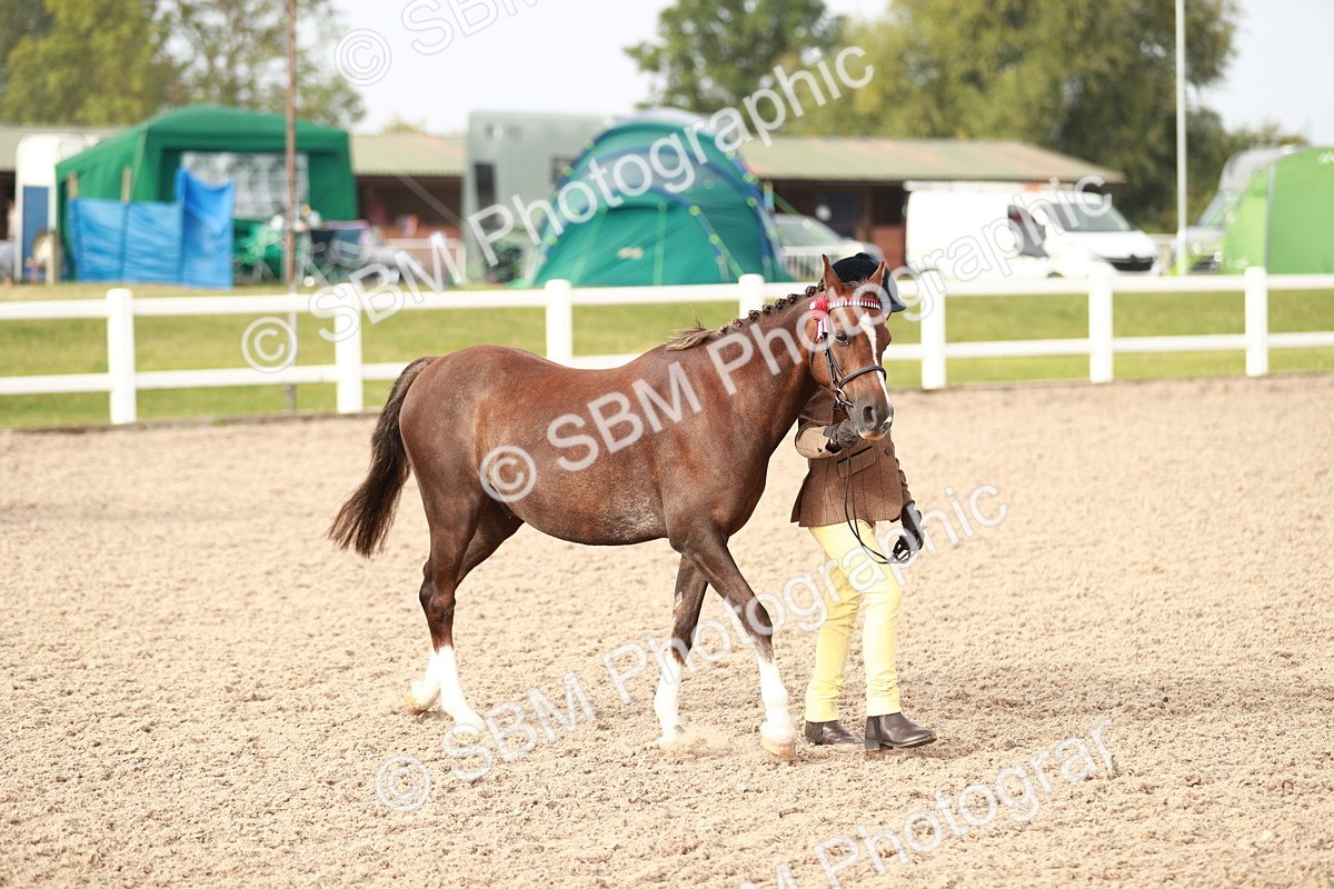 SBM_09841 - Class 203 Young Handler, 10 years and under