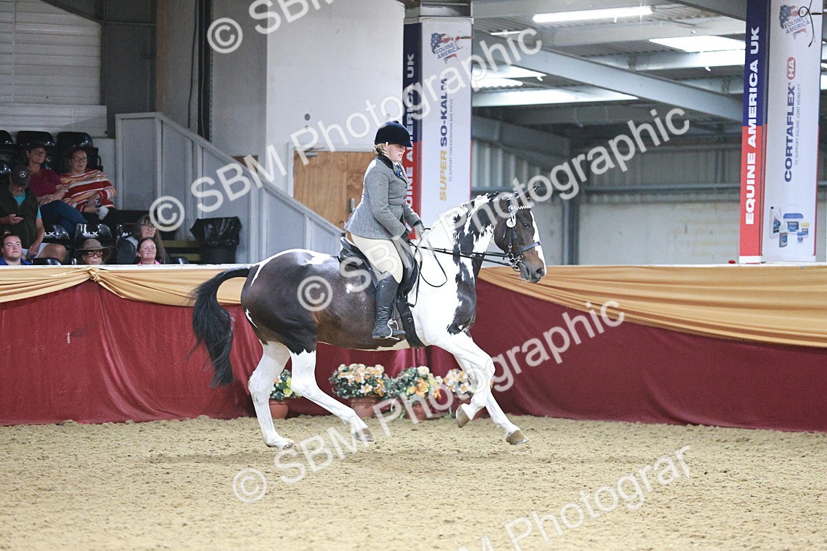 SBM_09092 - Class 12R - Regional Ridden Pre-Vet