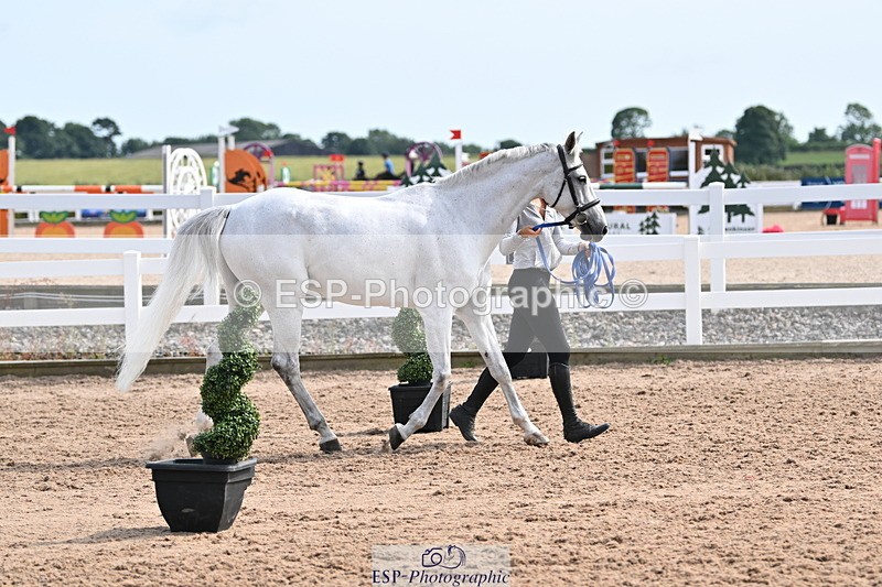 240717A-161409-03365 - Trot Up 4pm to 5pm