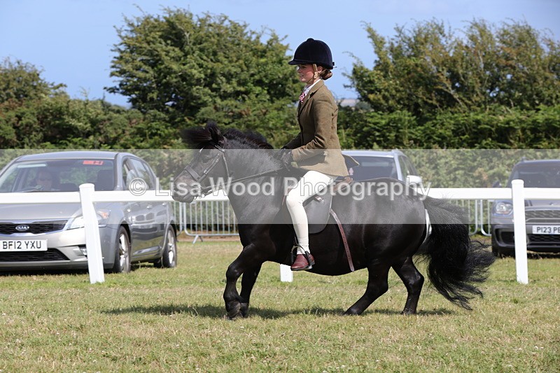 1X9A5605 - Class 39: NPS Dartmoor, Exmoor, Shetland