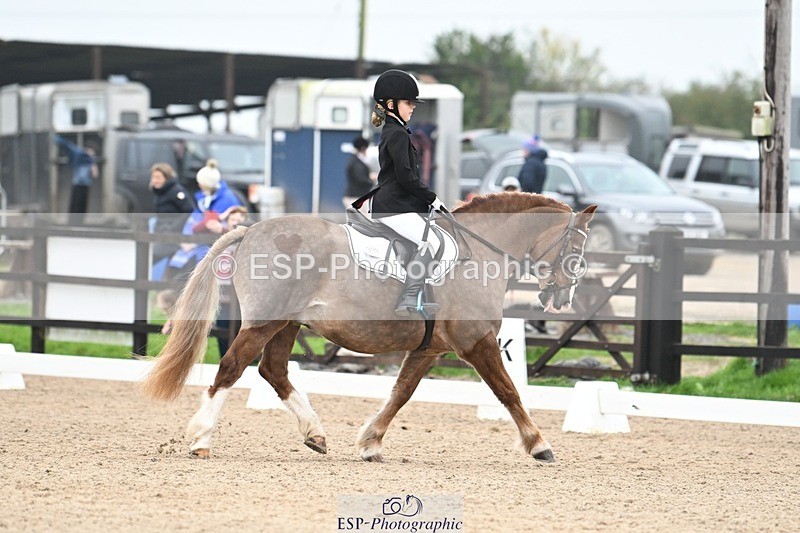 241103-113949-00564 - Intro 3 - 10.50 to 11.44