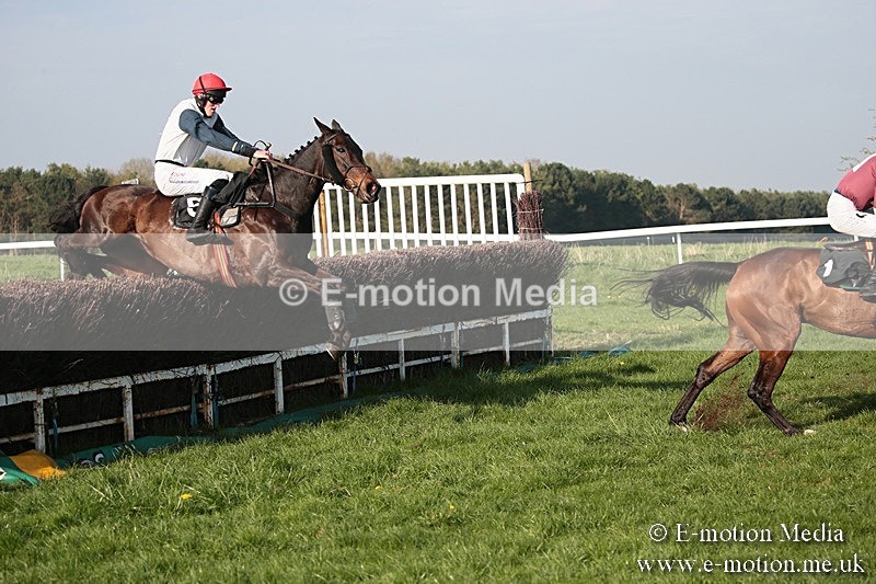 PtP 210418 616 - South & West Wilts Point-to-Point Larkhill 21/04/18