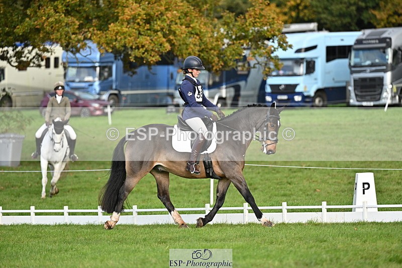 251024A-102016-08288 - G-555-Molly.Swain