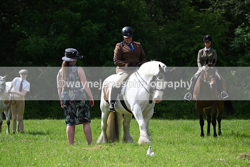 WJ7_1353 - Class 11 Condition & Turnout