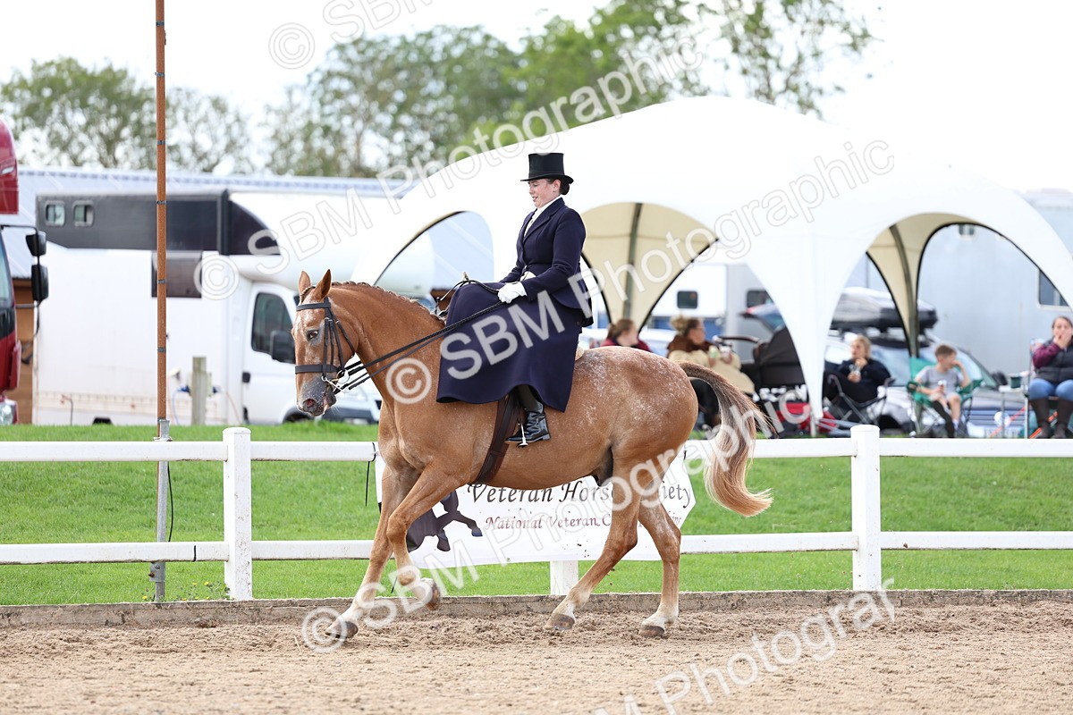 SBM_03215 - Class 22 - SSA Equitation (any age)