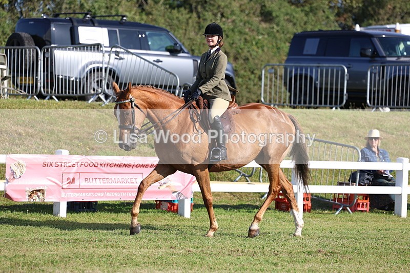 3E7A5382 - Class 2: Rising Star Large Hack/Riding Horse