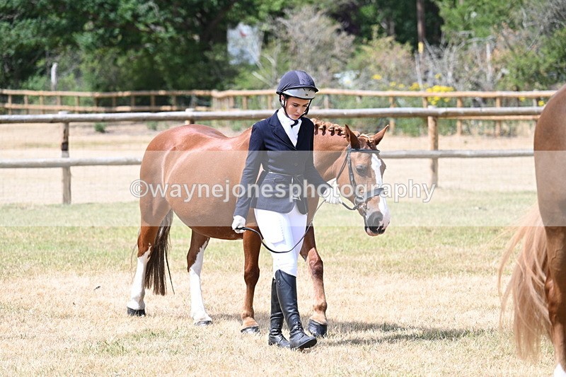 WJ7_1799 - Class 4a Prettiest Mare 14.2hh and over hand