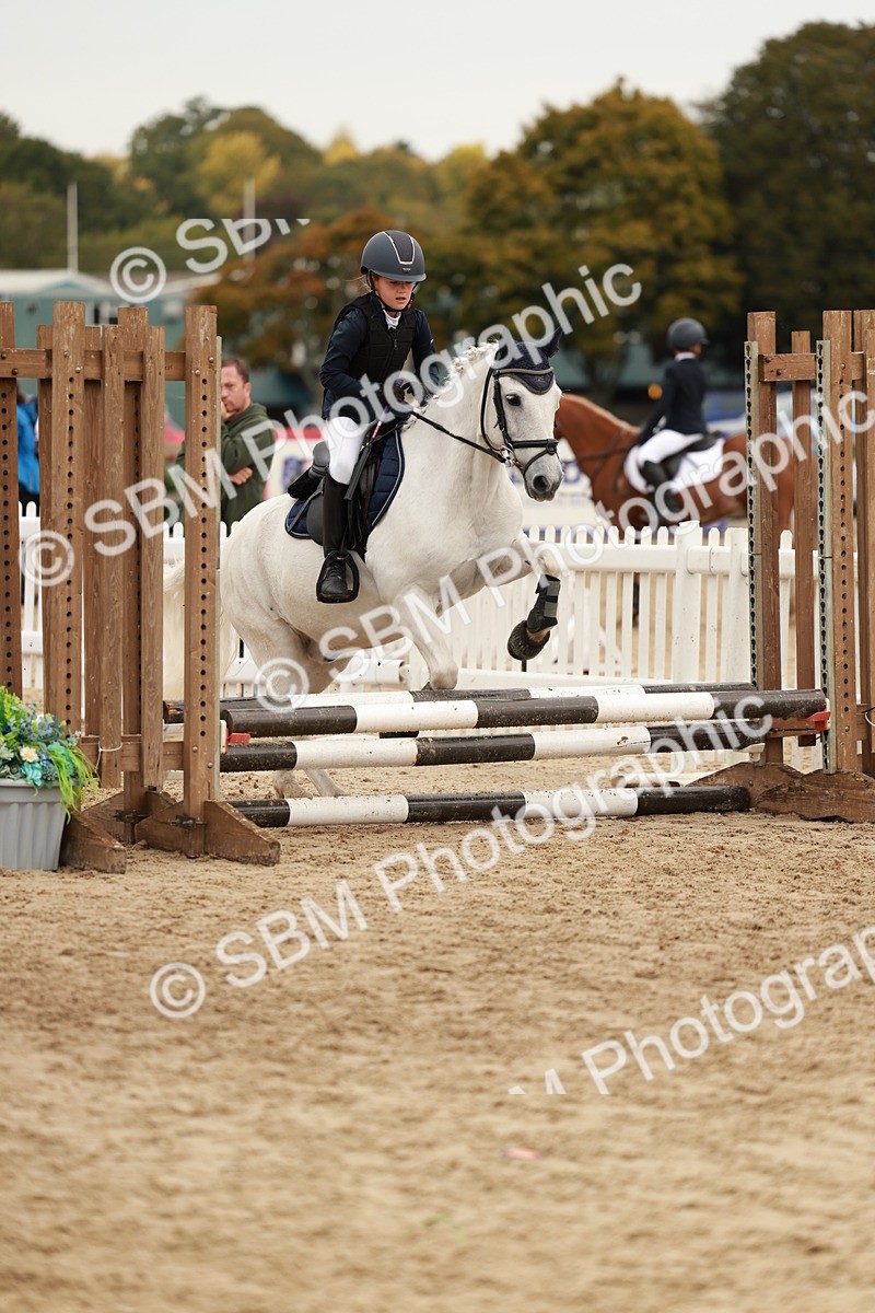 SBM_58041 - J11 - Junior Pony 50cm Championship