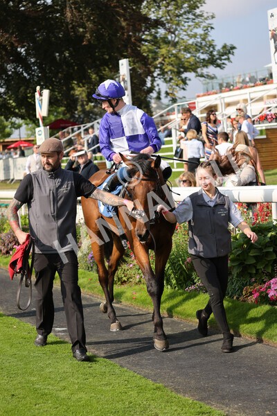 yr05092021r4-33 - Race 4 3.45pm Coopers Marquees British EBF Future Stayers' Novice Stakes