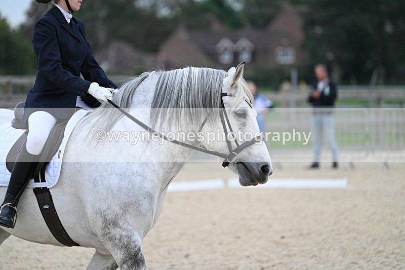 WJ7_2312 - Class 2 & Champs