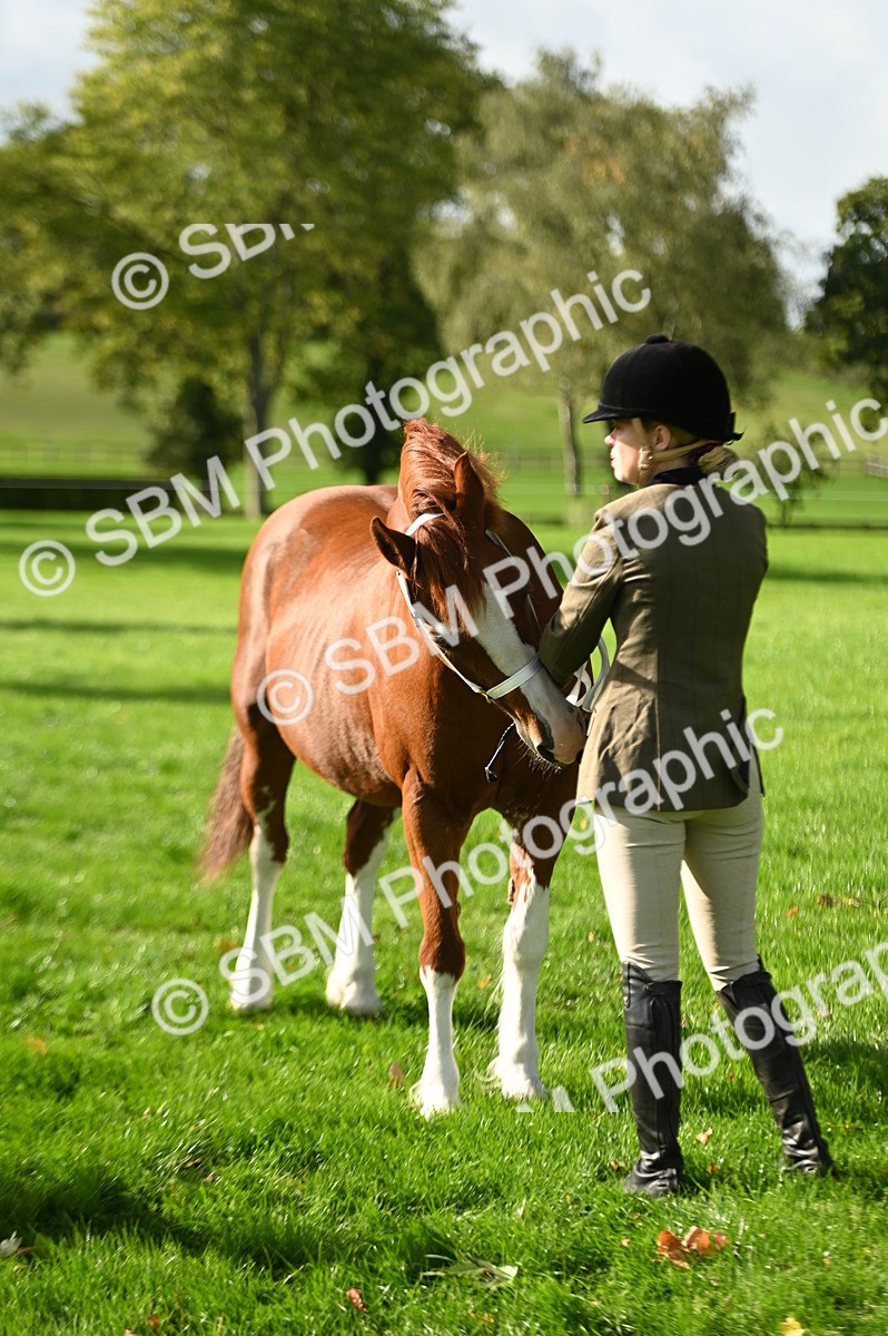 SBM_15944 - S1 - TSR in Hand Horse & Pony Showing